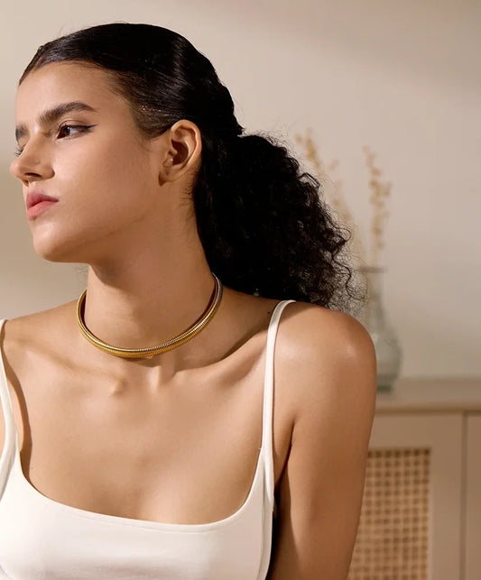 Collier ras du cou en acier Alicante