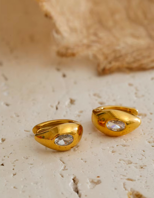 Boucles d'oreilles Naja en acier inoxydable